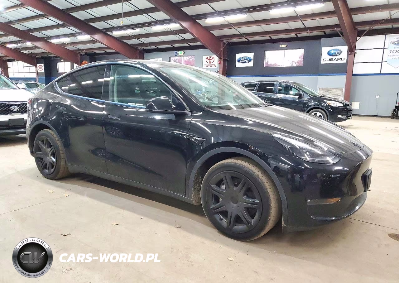 2024 Tesla Model Y VIN:7SAYGDEE2RF131278 - 4