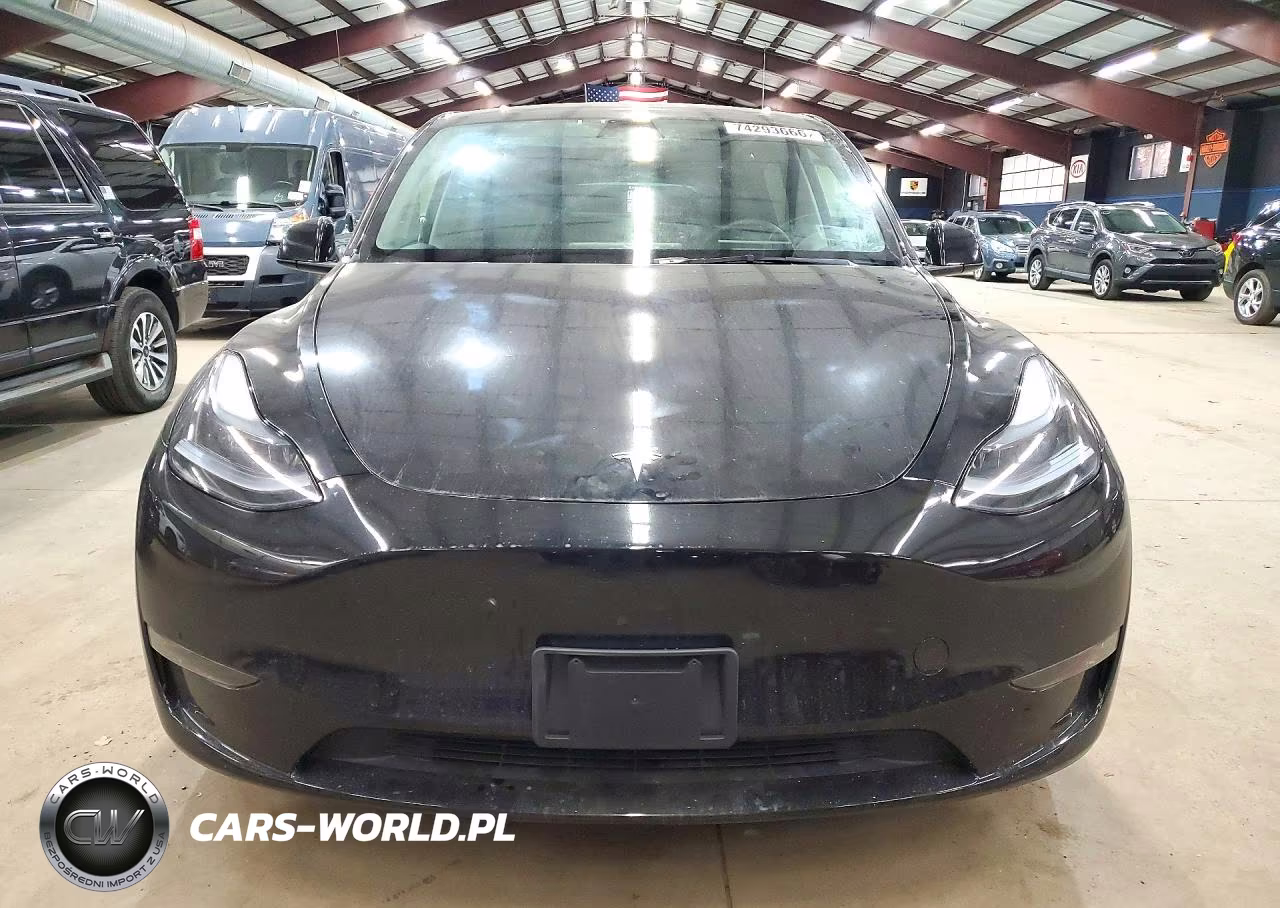 2024 Tesla Model Y VIN:7SAYGDEE2RF131278 - 5