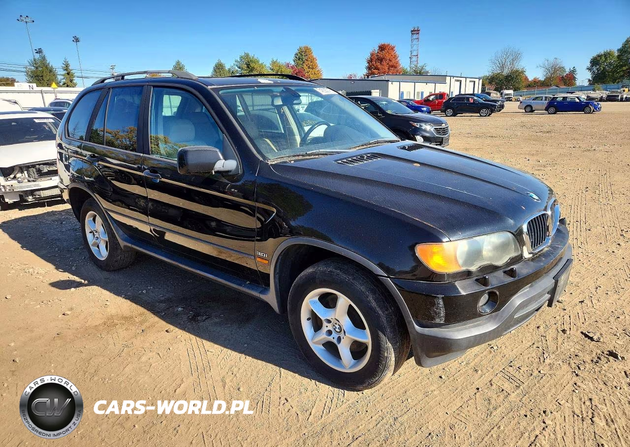 2003 BMW X5 3.0I VIN:5UXFA535X3LV86414 - 4