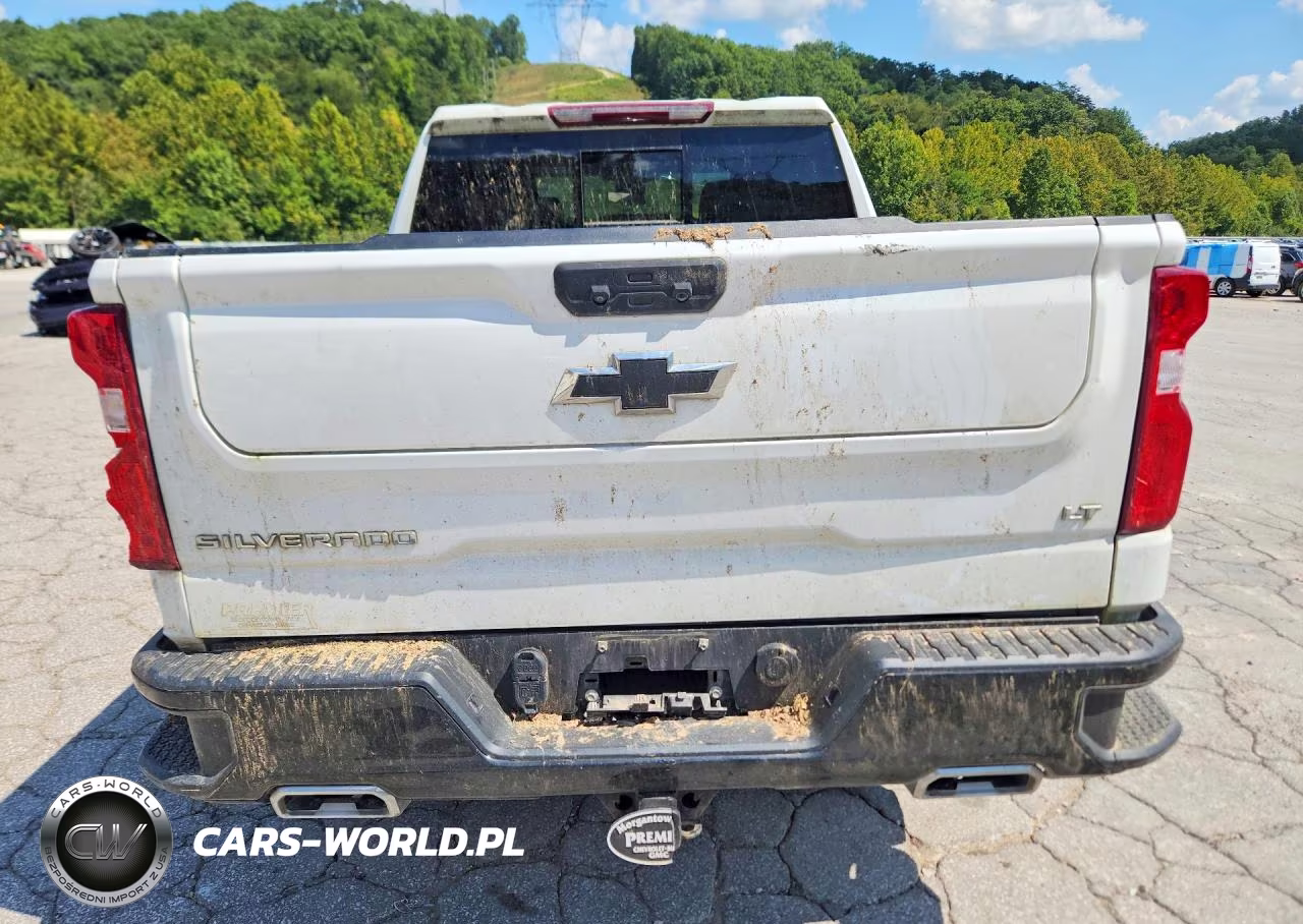 2024 Chevrolet Silverado K1500 Lt Trail Boss VIN:3GCUDFE83RG169994 - 6