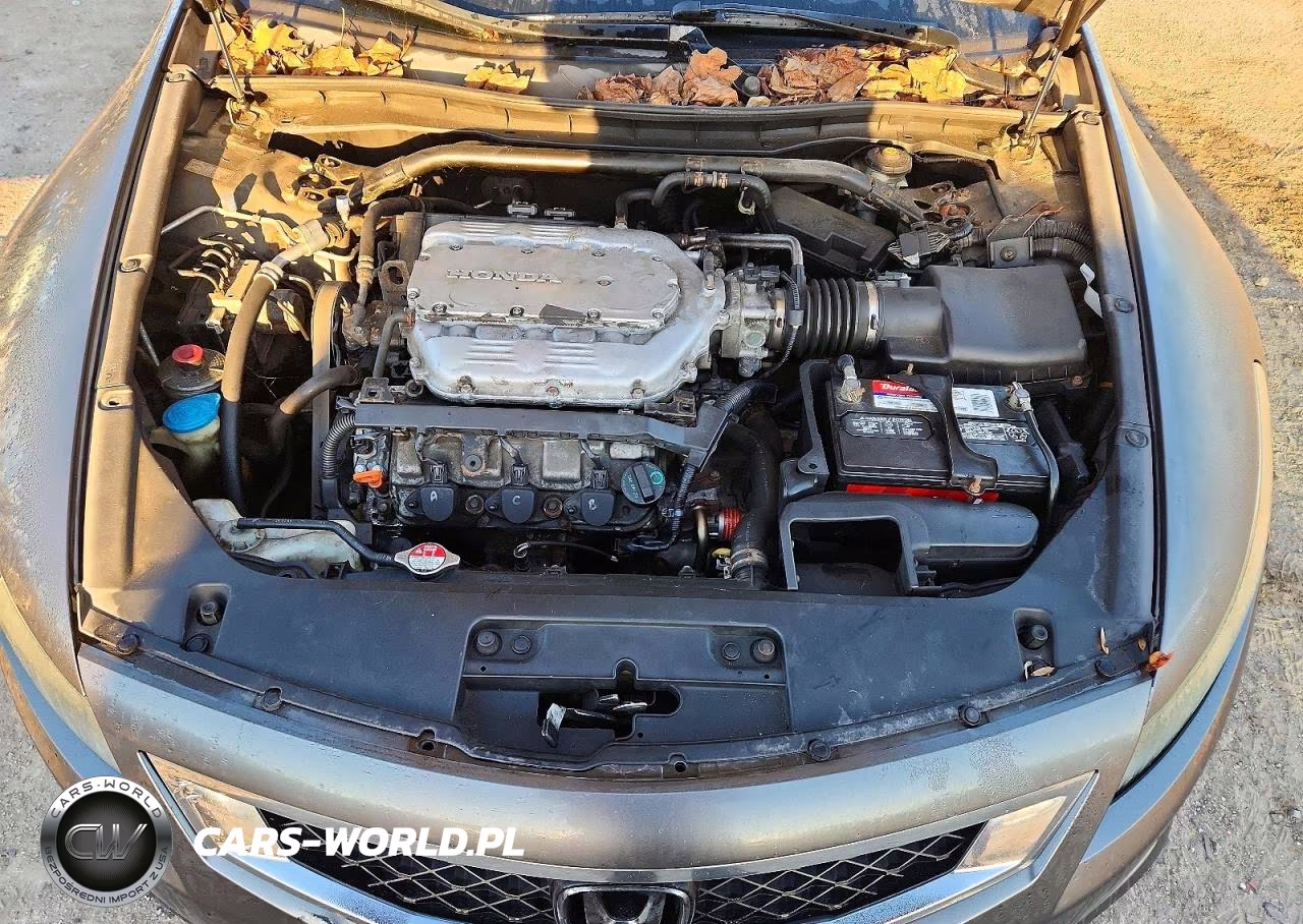 2010 Honda Accord Exl VIN:1HGCS2B89AA003577 - 11