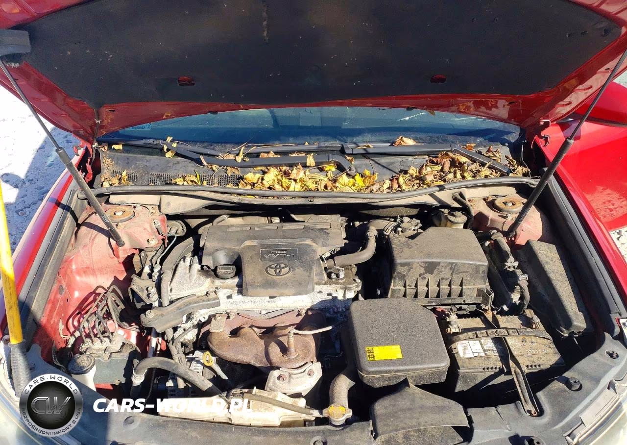 2013 Toyota Camry Se VIN:4T1BF1FK9DU710059 - 11