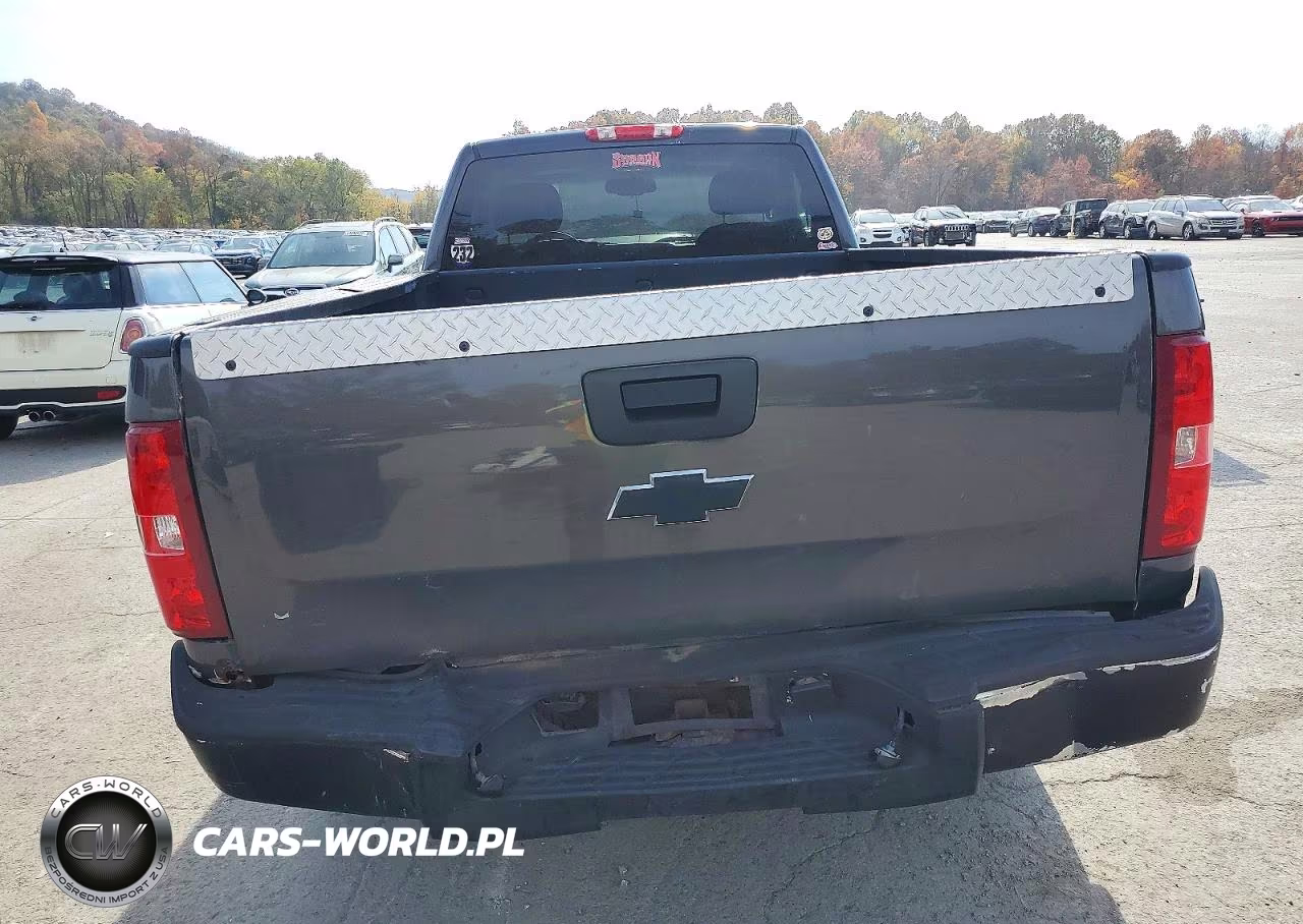 2010 Chevrolet Silv1500 4Wd VIN:1GCPKREAXAZ240247 - 10