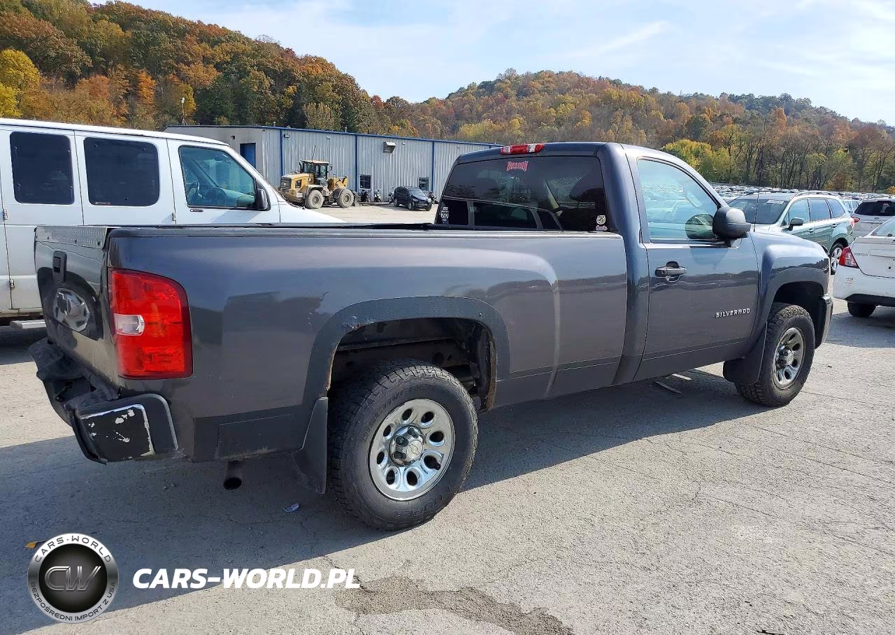 2010 Chevrolet Silv1500 4Wd VIN:1GCPKREAXAZ240247 - 3