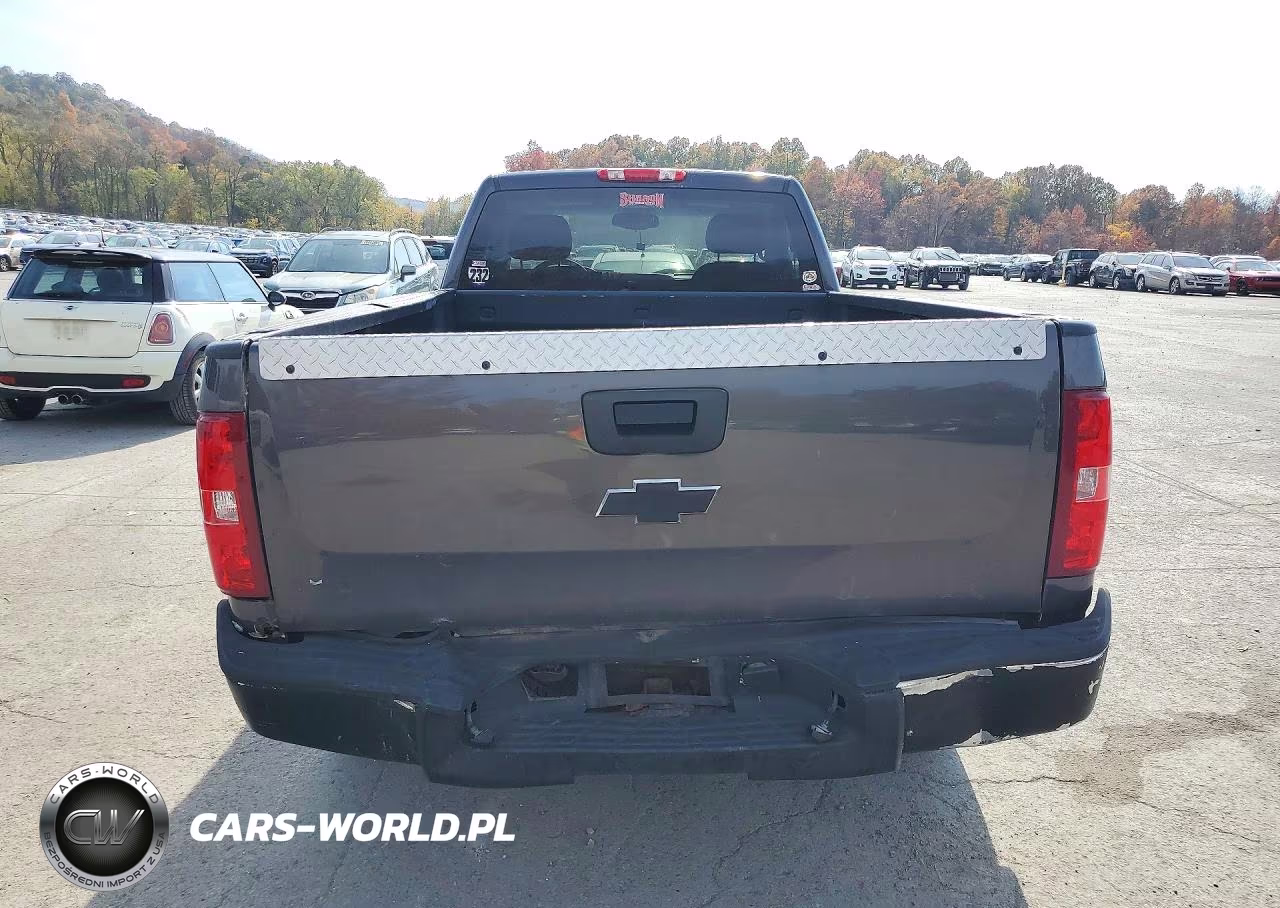 2010 Chevrolet Silv1500 4Wd VIN:1GCPKREAXAZ240247 - 6