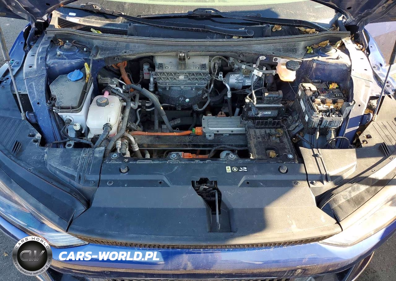 2024 Kia Ev6 Light VIN:KNDC34LA4R5211590 - 12