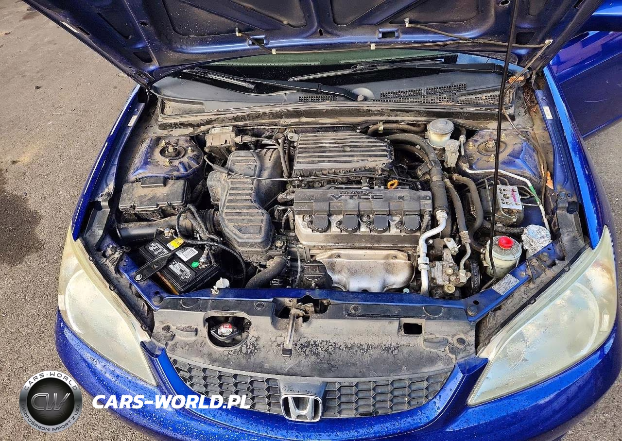 2004 Honda Civic Ex VIN:1HGEM21064L083282 - 11