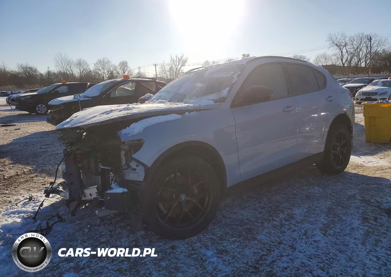 2020 Alfa Romeo Stelvio – zdjęcie 1 z 13