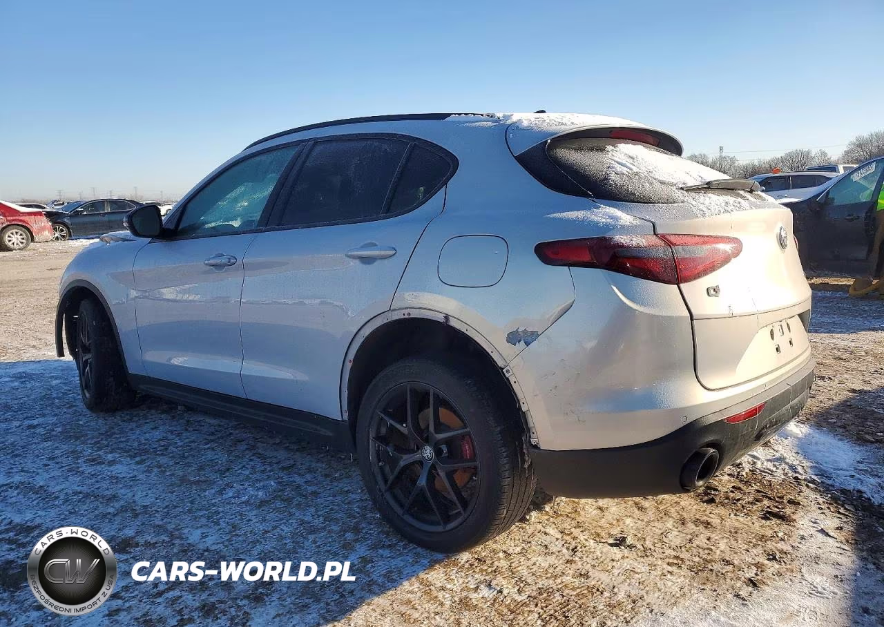2020 Alfa Romeo Stelvio VIN:ZASPAKAN7L7C90712 - 2