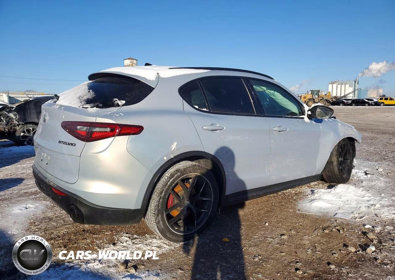 2020 Alfa Romeo Stelvio VIN:ZASPAKAN7L7C90712 - 3