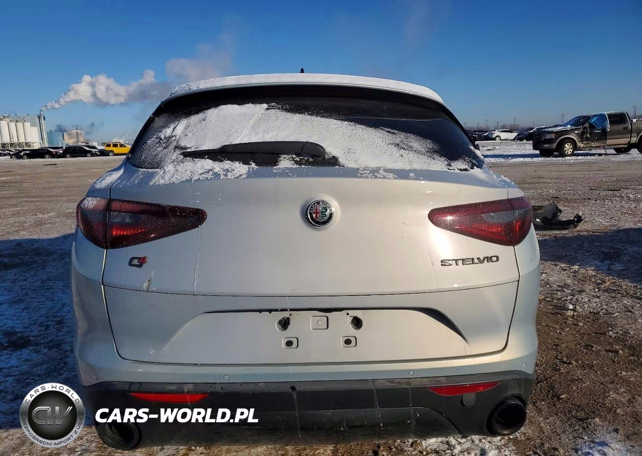 2020 Alfa Romeo Stelvio VIN:ZASPAKAN7L7C90712 - 6