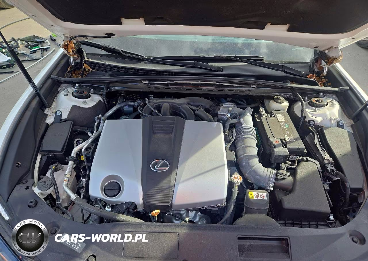 2020 Lexus Es 350 VIN:58ADZ1B1XLU065538 - 11
