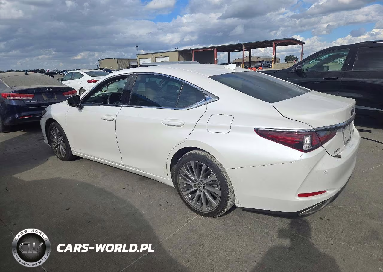 2020 Lexus Es 350 VIN:58ADZ1B1XLU065538 - 2