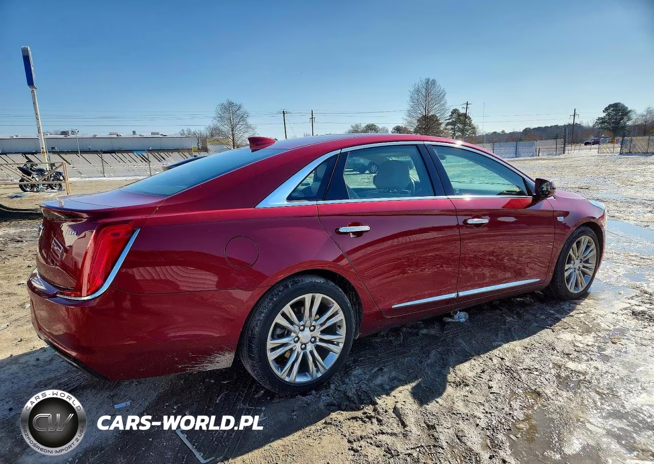 2019 Cadillac Xts Luxury VIN:2G61M5S3XK9158791 - 3