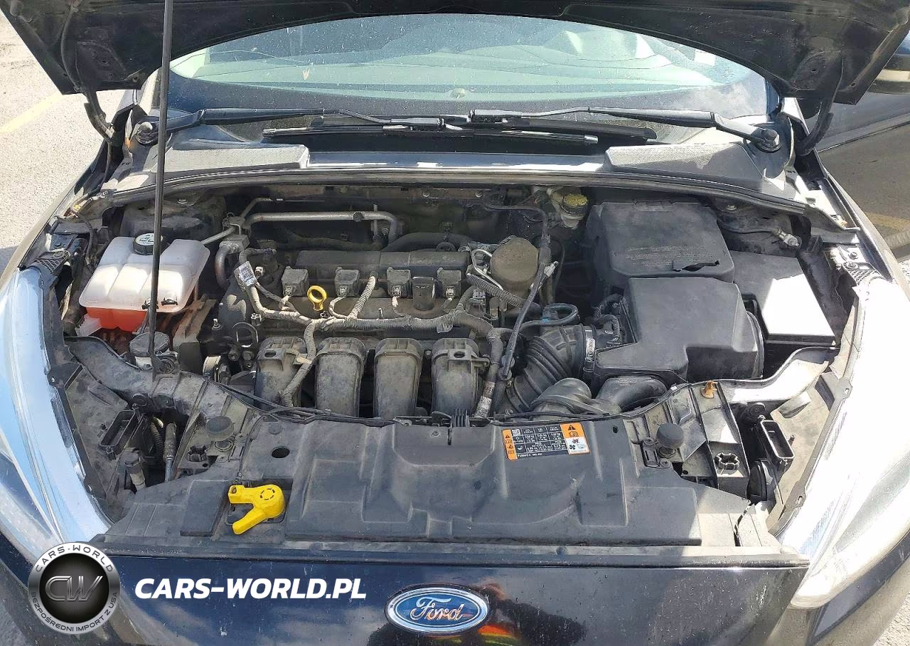 2016 Ford Focus Se VIN:1FADP3K26GL256106 - 11