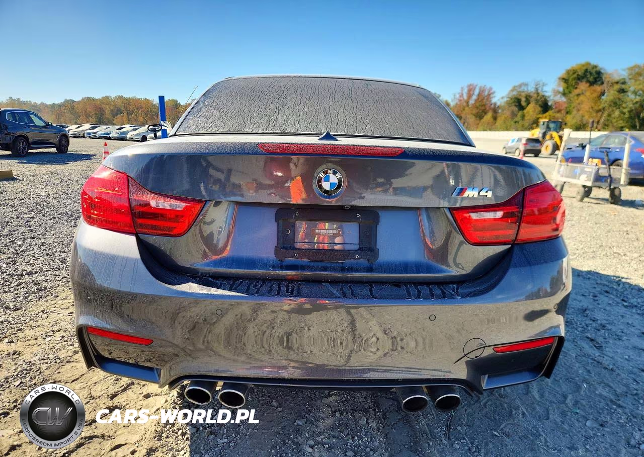 2015 BMW M4 VIN:WBS3U9C59FJ968526 - 6