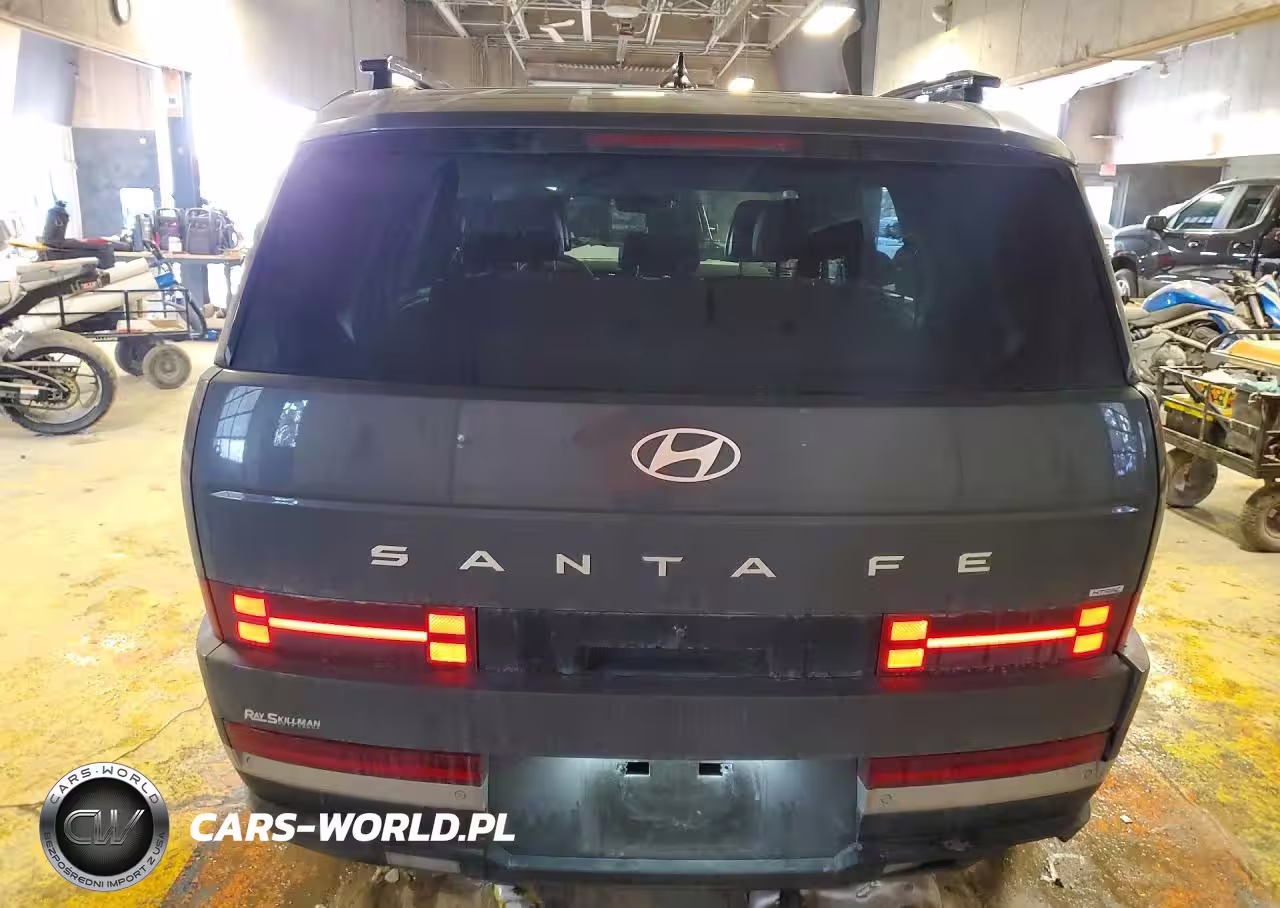 2025 Hyundai Santa Fe Limited VIN:5NMP4DGL2SH089339 - 6
