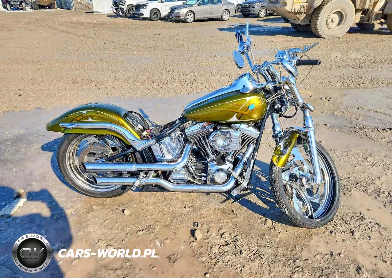 2001 Harley-Davidson Fxstd