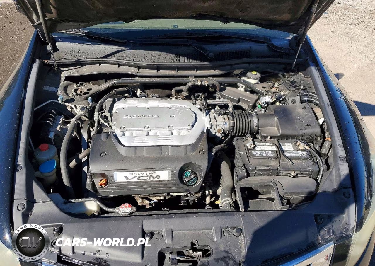 2009 Honda Accord Exl VIN:1HGCP36829A048647 - 11