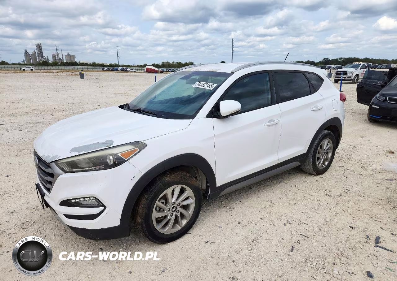 2017 Hyundai Tucson Eco VIN:KM8J33A25HU354853 - 1