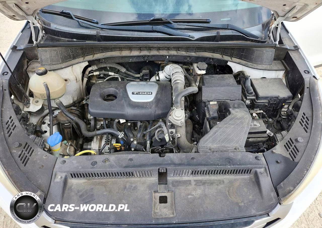 2017 Hyundai Tucson Eco VIN:KM8J33A25HU354853 - 12