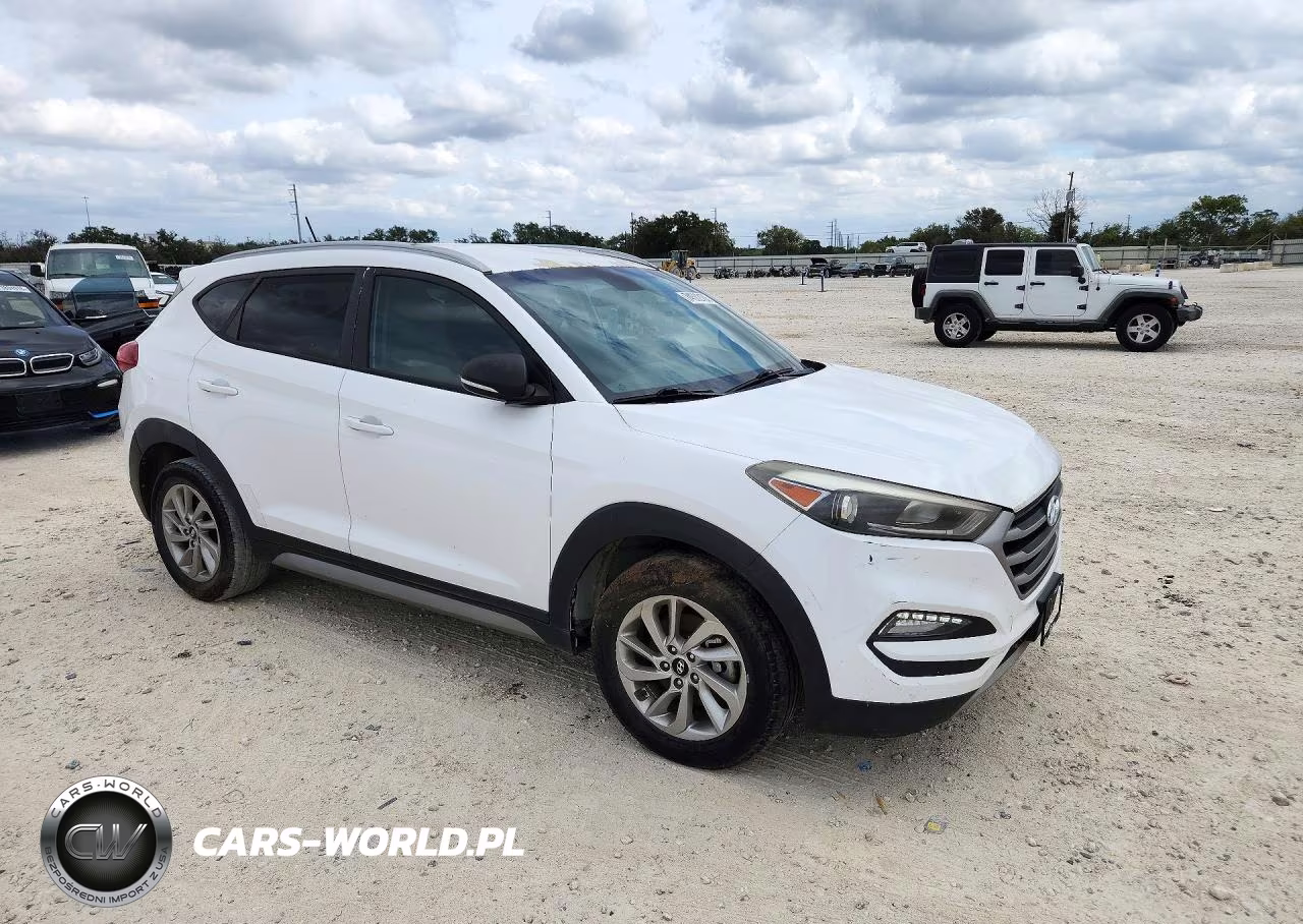 2017 Hyundai Tucson Eco VIN:KM8J33A25HU354853 - 4