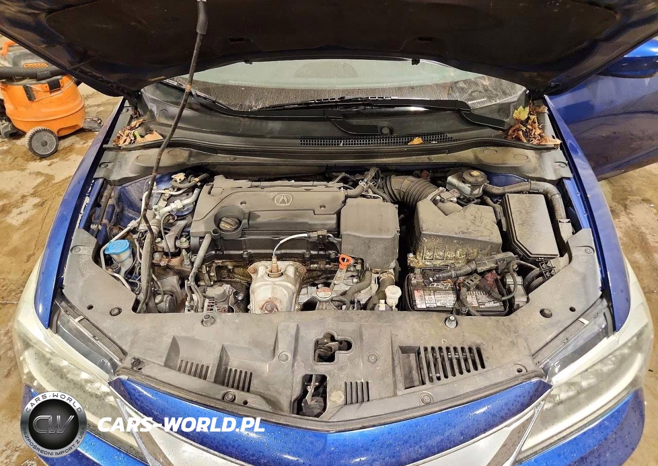 2016 Acura Ilx Premium VIN:19UDE2F76GA007494 - 11