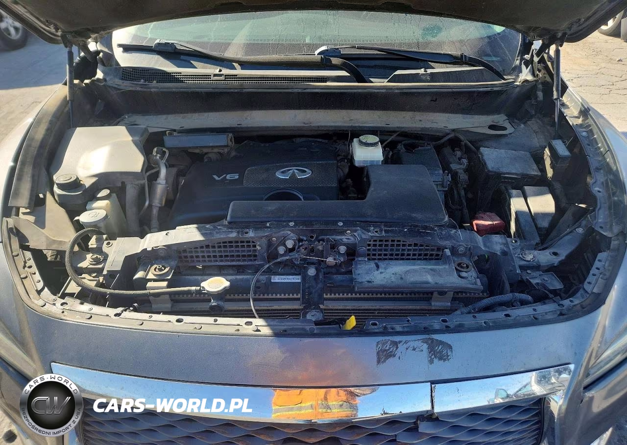 2018 Infinity Qx60 VIN:5N1DL0MM7JC520424 - 12