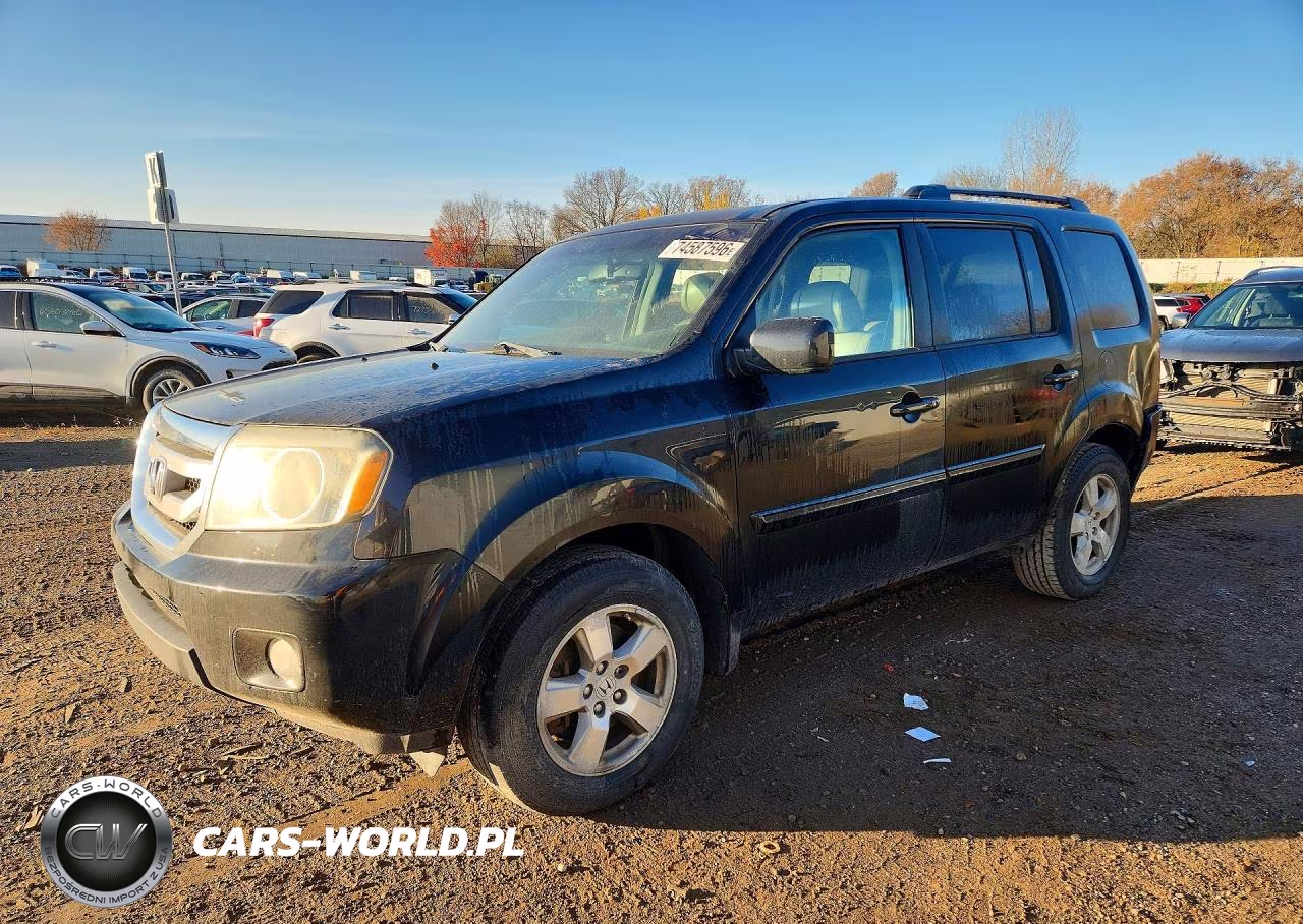 2011 Honda Pilot Exln VIN:5FNYF4H77BB018980 - 1