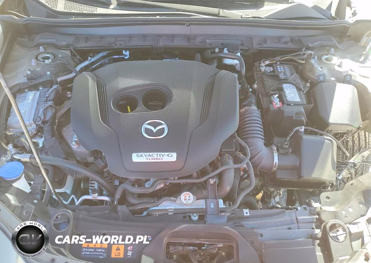 2025 Mazda Cx-30 Carbon Turbo VIN:3MVDMBXY0SM840033 - 12