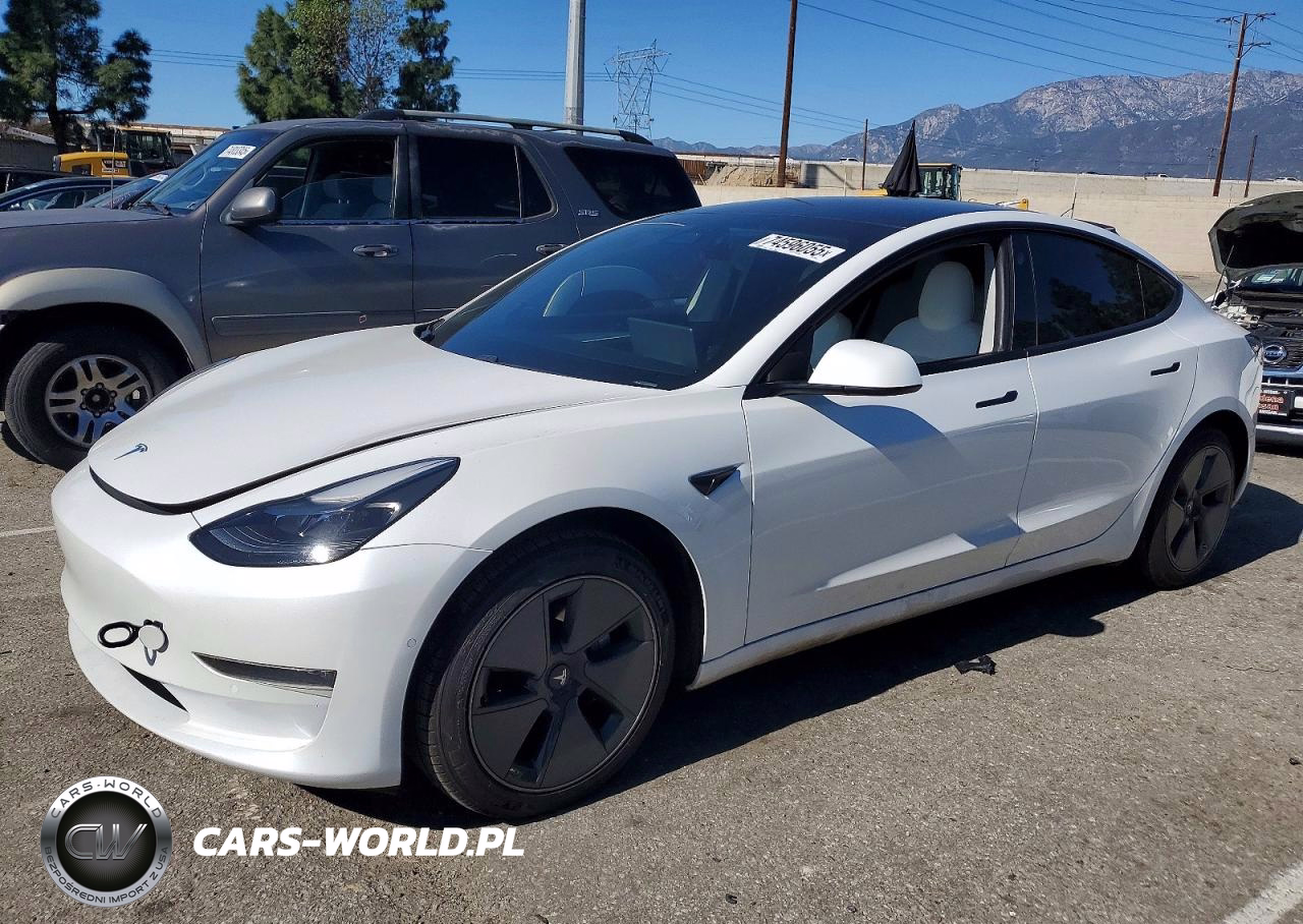 2021 Tesla Model 3