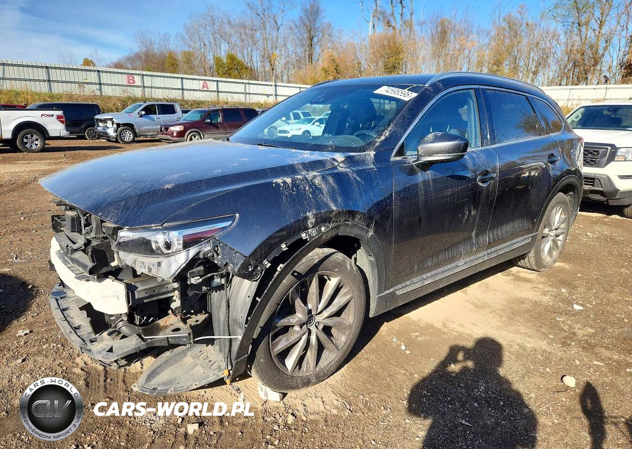 2017 Mazda Cx-9 Grand Touring VIN:JM3TCBDY8H0134869 - 1