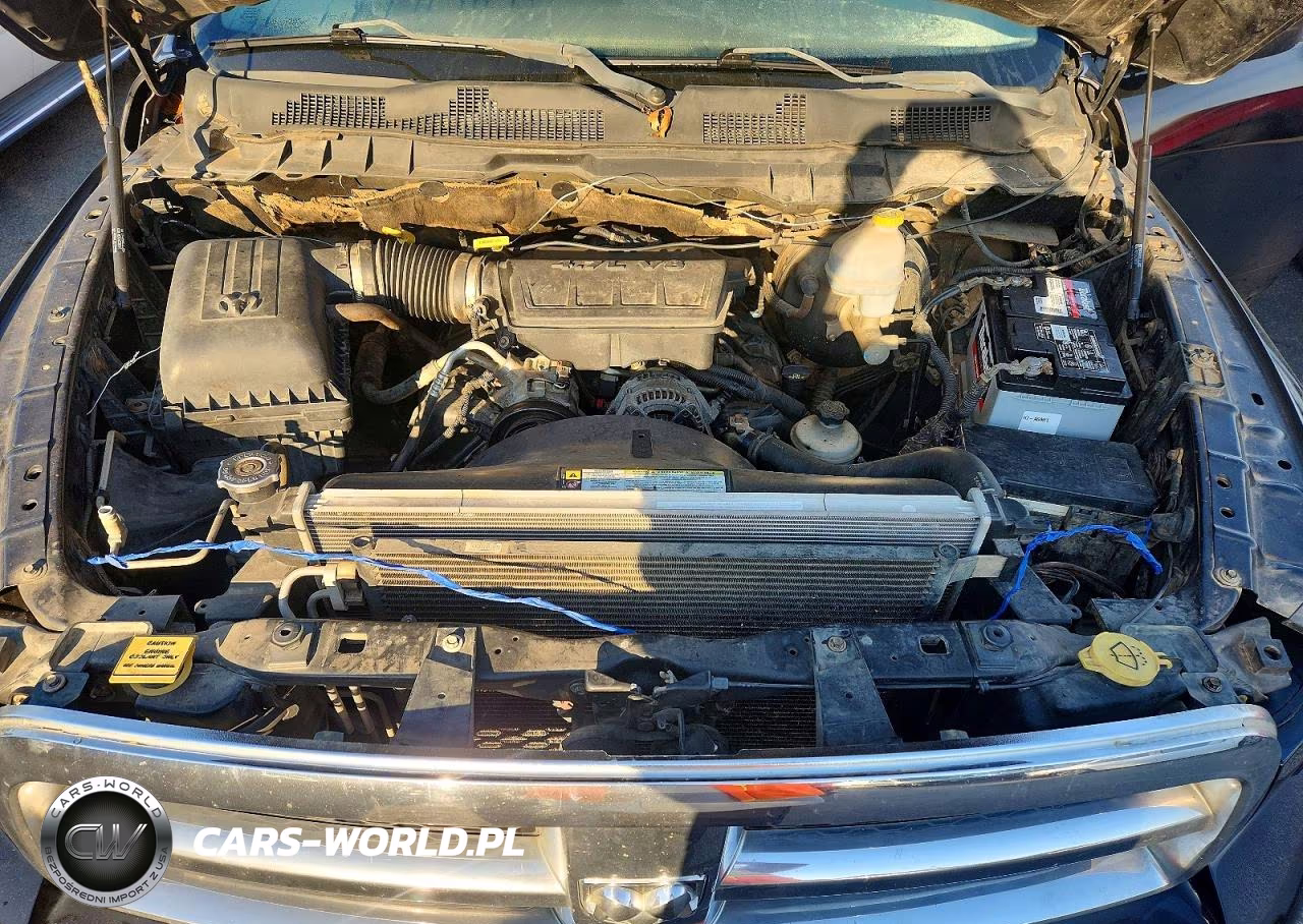2010 Dodge Ram 1500 VIN:1D7RB1GP3AS104892 - 11