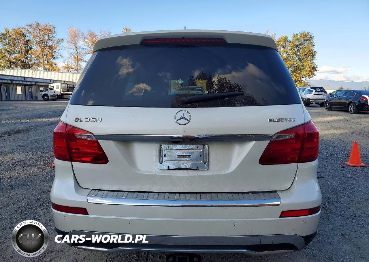 2013 Mercedes-Benz Gl 350 Bluetec VIN:4JGDF2EE1DA139243 - 6