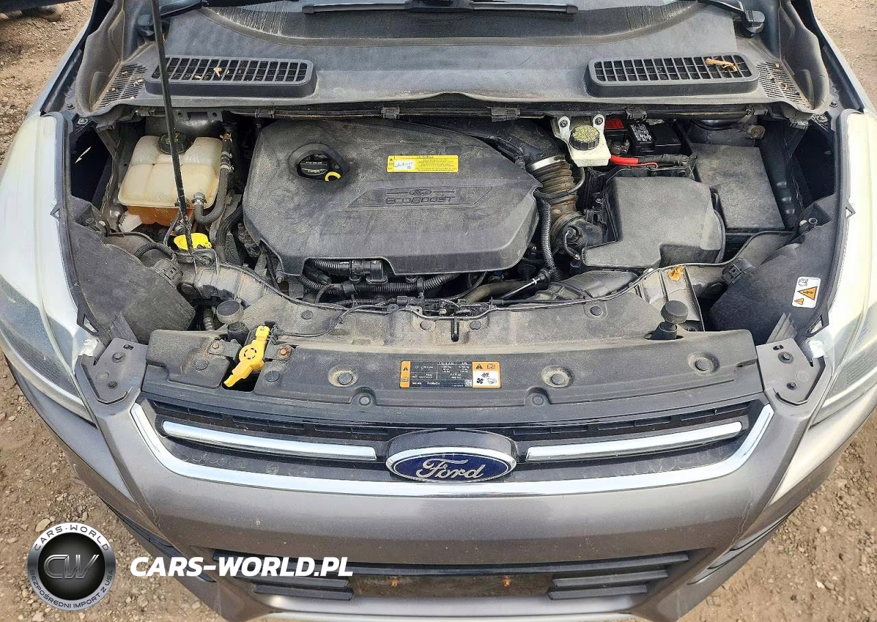2014 Ford Escape Titanium VIN:1FMCU0JX0EUC36284 - 11