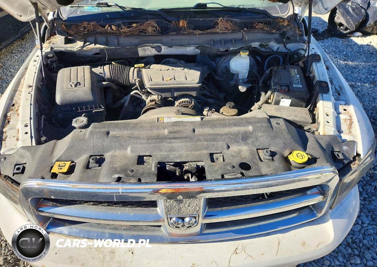 2010 Dodge Ram 1500 VIN:3D7JB1EP0AG102542 - 11