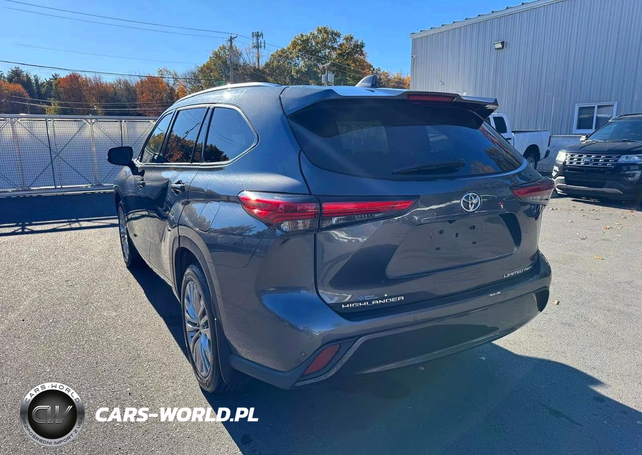2020 Toyota Highlander Limited VIN:5TDDZRBH2LS010691 - 2