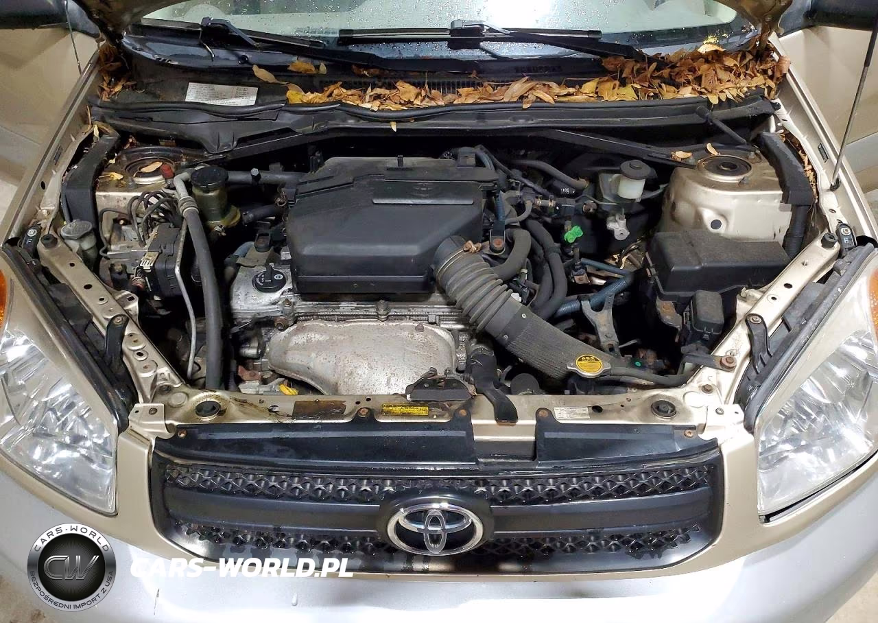 2005 Toyota Rav4 Base VIN:JTEHD20VX50064421 - 12
