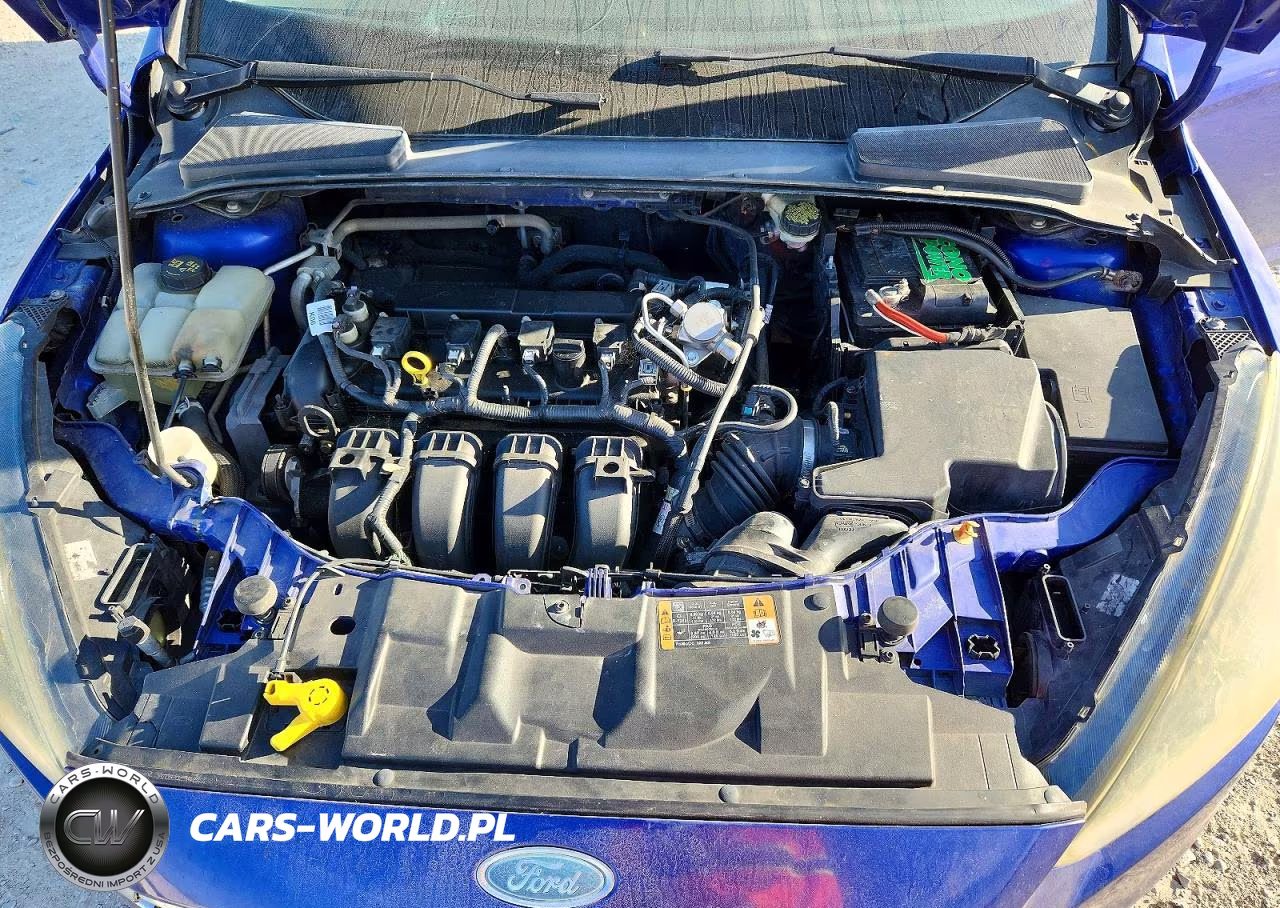 2015 Ford Focus Se VIN:1FADP3F27FL230428 - 11