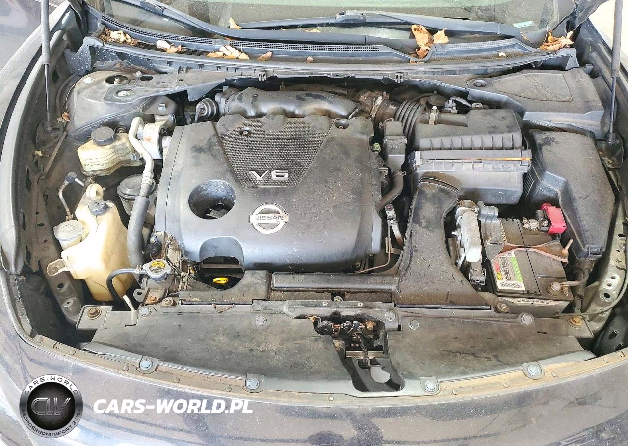 2009 Nissan Maxima 3.5 S VIN:1N4AA51E79C843106 - 11