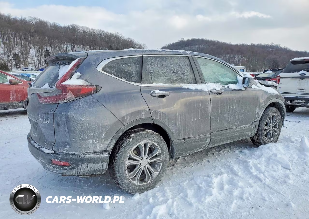 2020 Honda Cr-V Ex VIN:5J6RW2H50LL036463 - 3