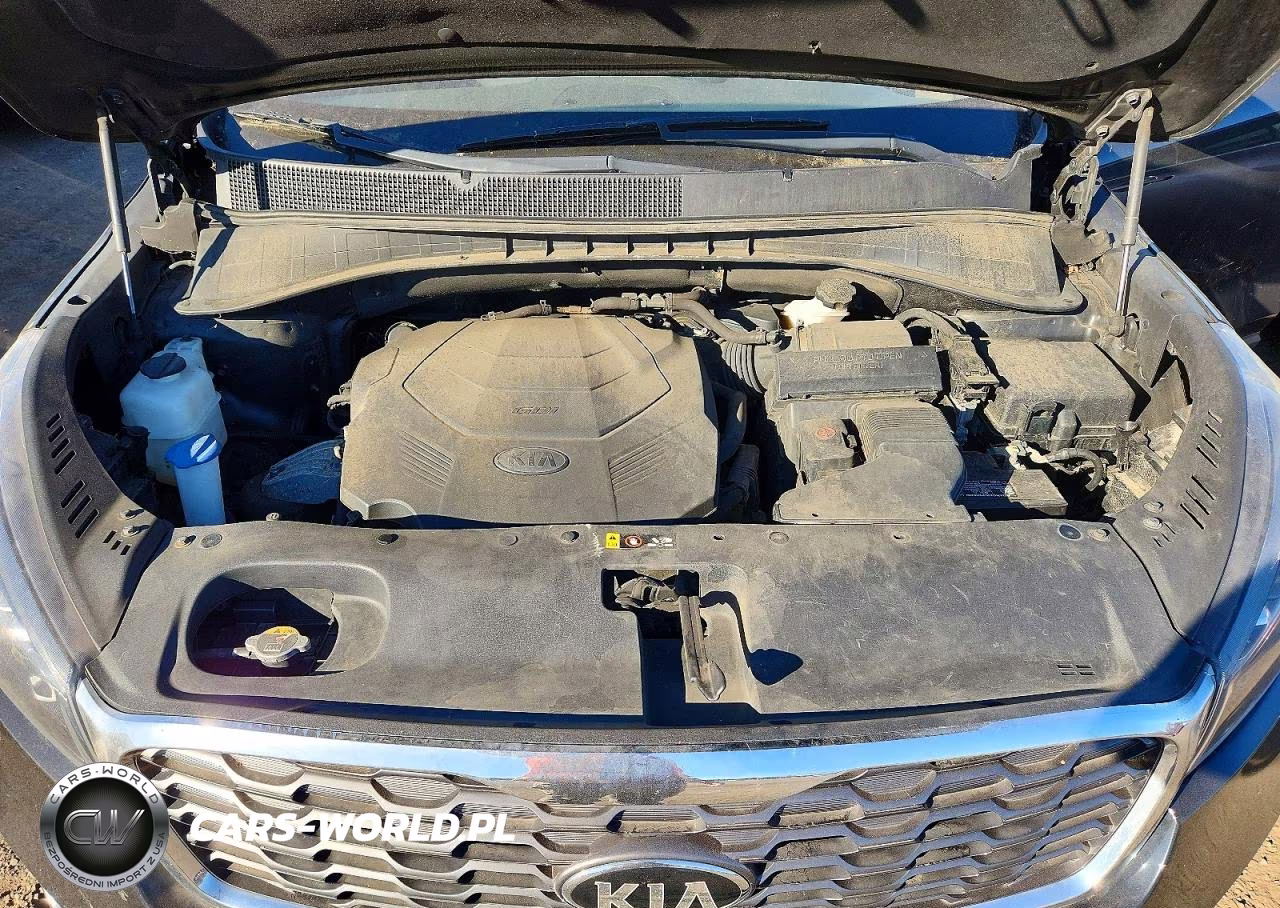 2019 Kia Sorento Ex V6 VIN:5XYPHDA5XKG479775 - 12