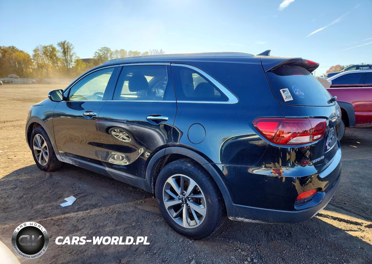 2019 Kia Sorento Ex V6 VIN:5XYPHDA5XKG479775 - 2
