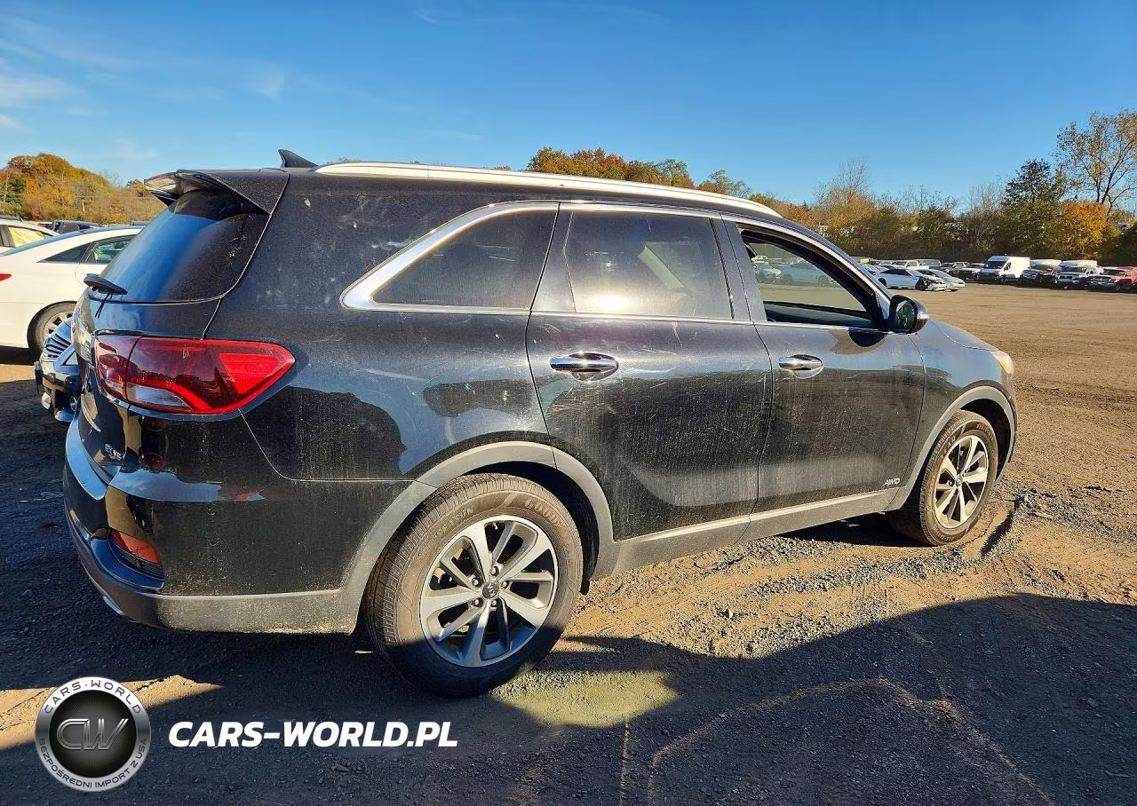 2019 Kia Sorento Ex V6 VIN:5XYPHDA5XKG479775 - 3