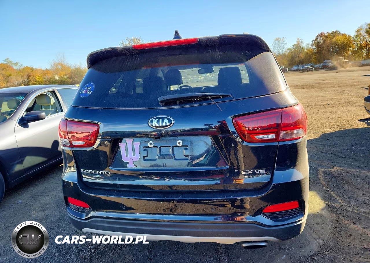2019 Kia Sorento Ex V6 VIN:5XYPHDA5XKG479775 - 6