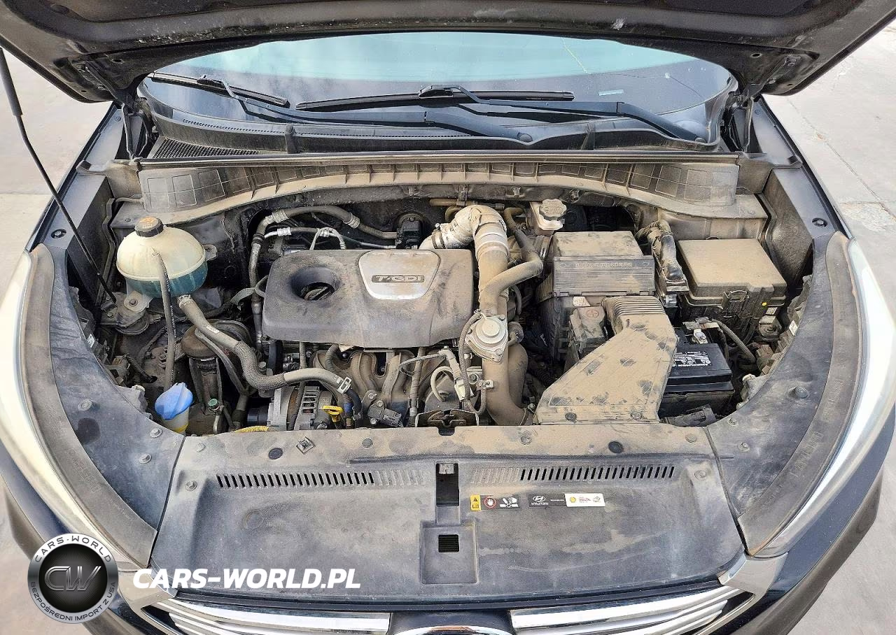 2017 Hyundai Tucson Limited VIN:KM8J33A22HU391679 - 12
