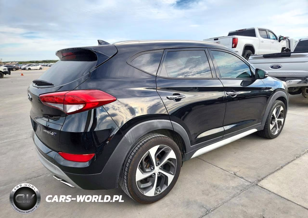 2017 Hyundai Tucson Limited VIN:KM8J33A22HU391679 - 3