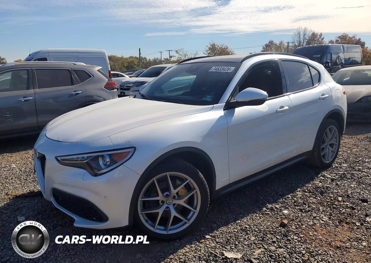 2018 Alfa Romeo Stelvio Ti Sport VIN:ZASFAKNN5J7C27448 - 1