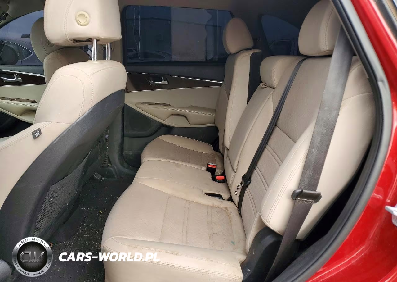 2017 Kia Sorento Lx VIN:5XYPG4A57HG234914 - 10