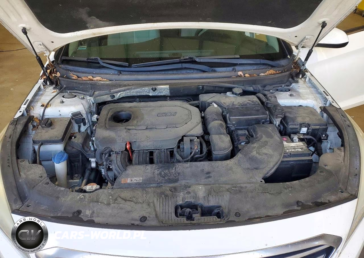 2015 Hyundai Sonata Se VIN:5NPE24AF1FH203629 - 11